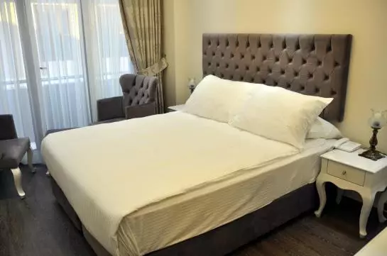 Fotos del hotel World Heritage Hotel Istanbul:  15