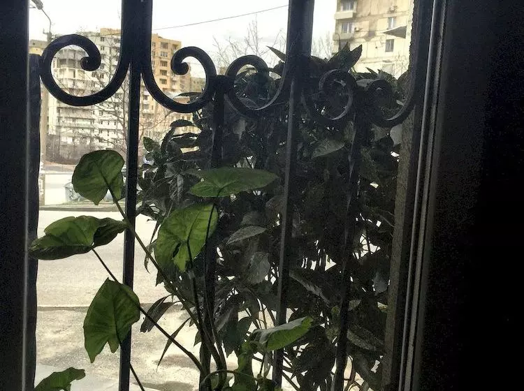 Fotos del hotel Cristali:  15