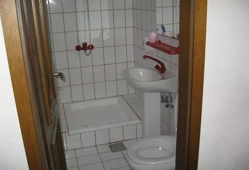 Fotos del hotel Villa Corona:  7