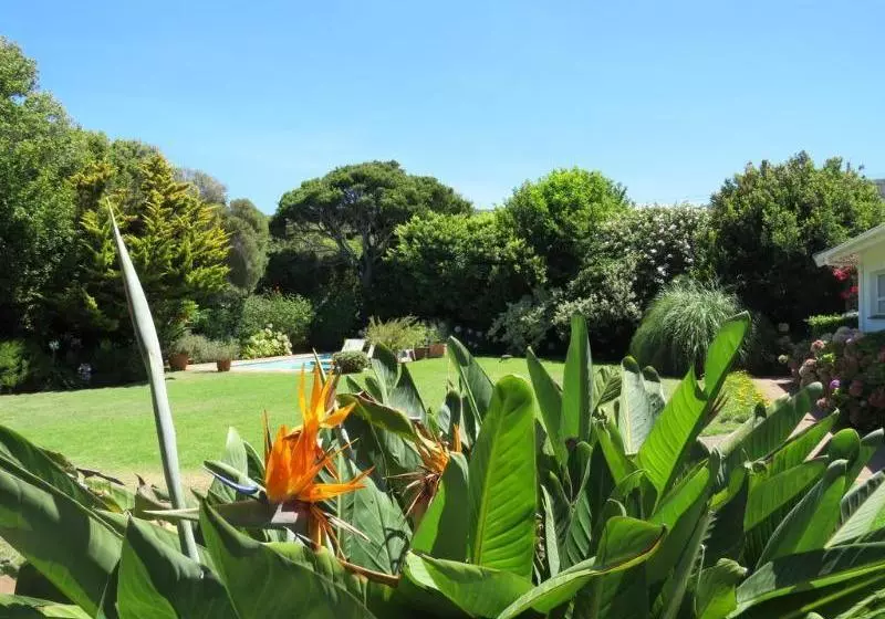 Fotos del hotel Hortensia Lodge:  6