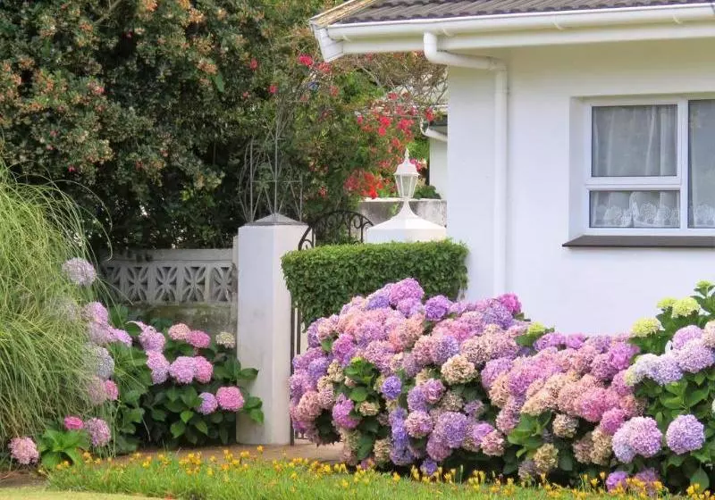 Fotos del hotel Hortensia Lodge:  11