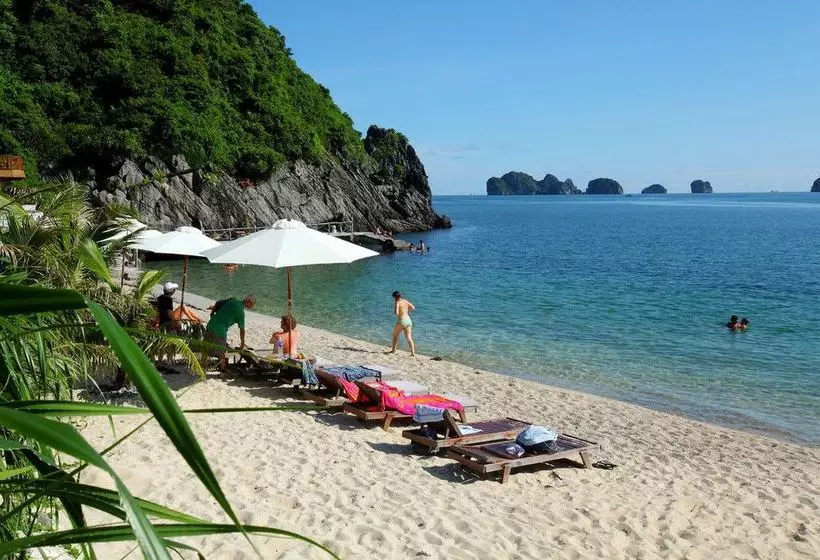 Fotos del hotel Monkey Island Resort:  19