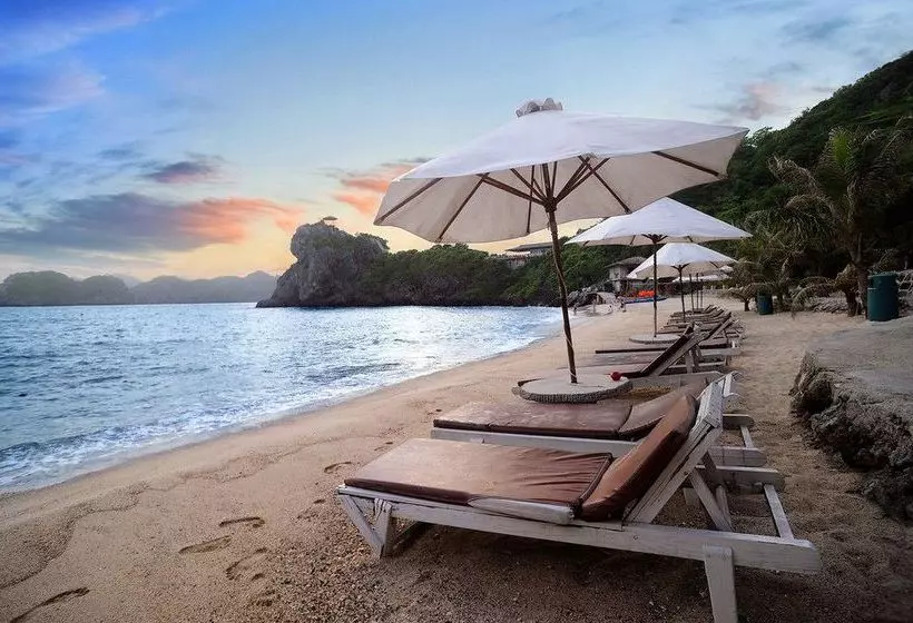 Fotos del hotel Monkey Island Resort:  18