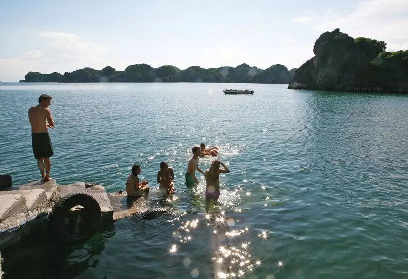 Fotos del hotel Monkey Island Resort:  23