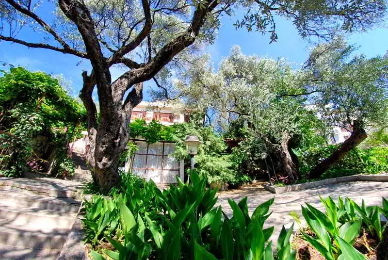 Fotos del hotel Elena Guest House:  8