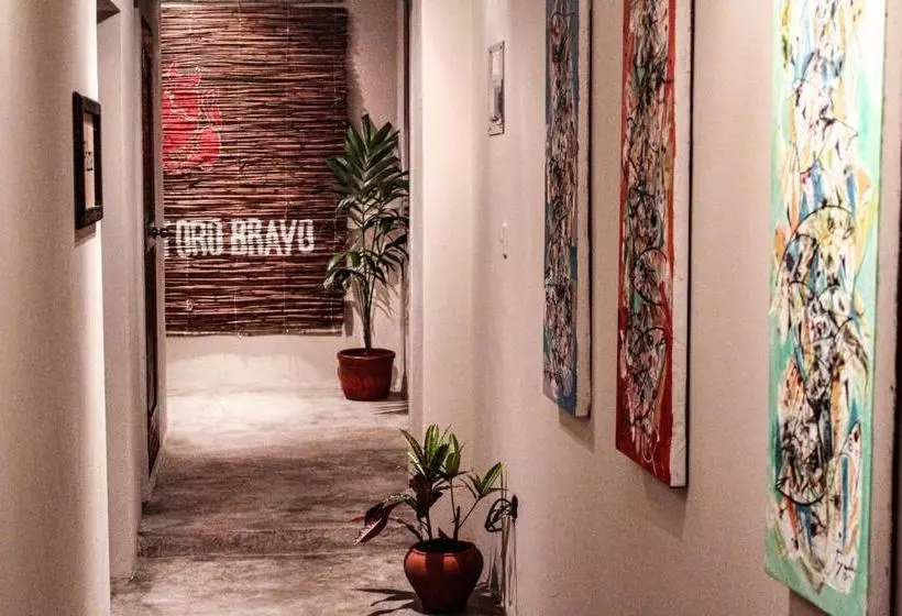 Fotos del hotel Urban Cabana:  11