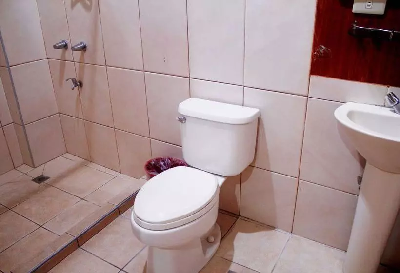 Fotos del hotel Nicanor:  9