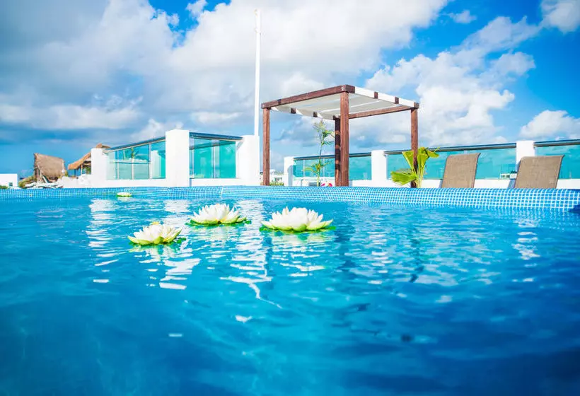 Fotos del hotel Blue Condo:  12