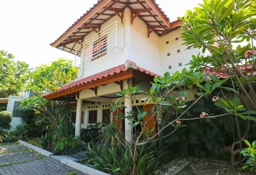 Fotos del hotel Santo Guest House:  16