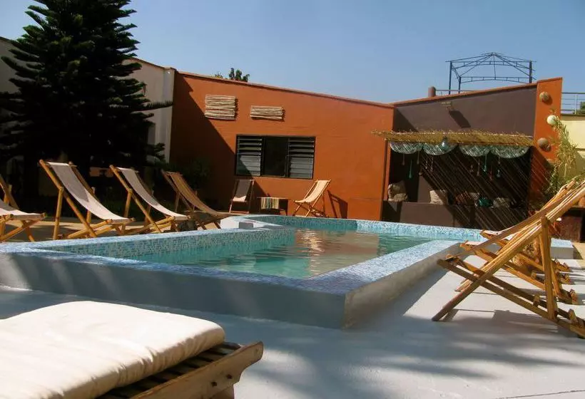 Fotos del hotel Madidi Lodge:  2