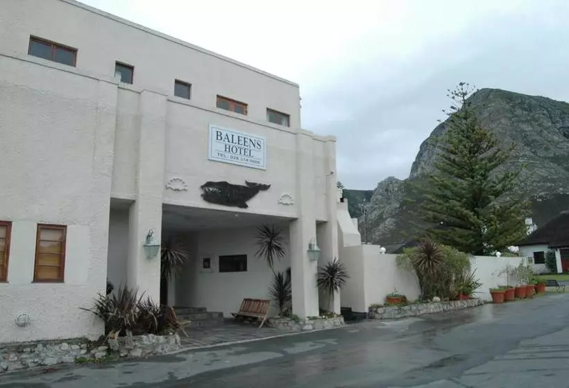 Baleens