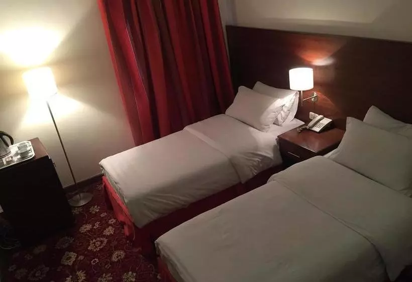 Fotos del hotel Petra By Night:  15