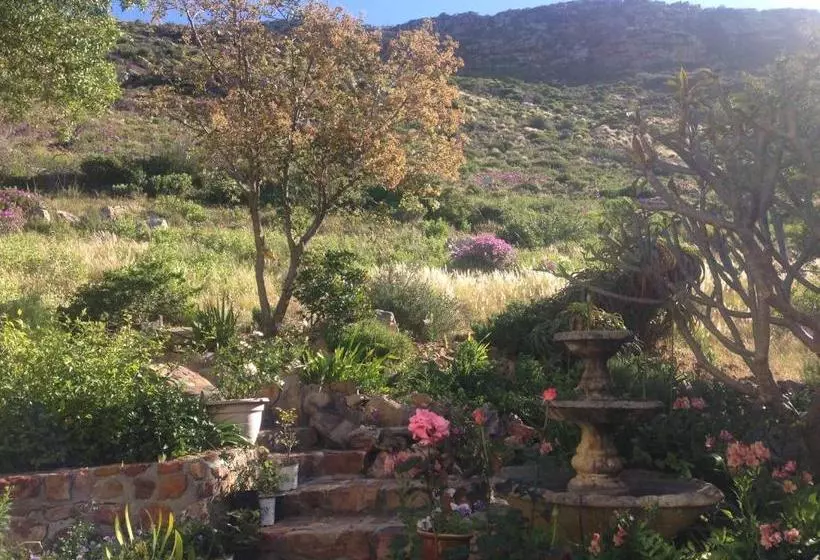 Fotos del hotel Tranquility Guest House:  9