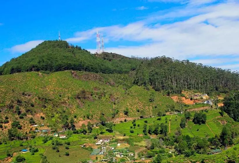 Fotos del hotel Green Forest:  4