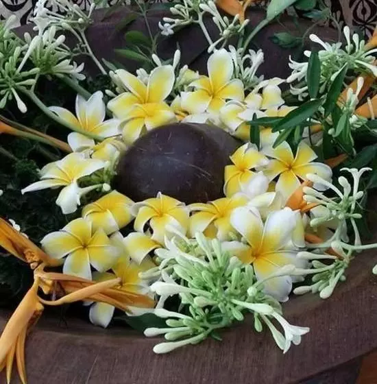 Fotos del hotel Utu One Bed & Breakfast:  8