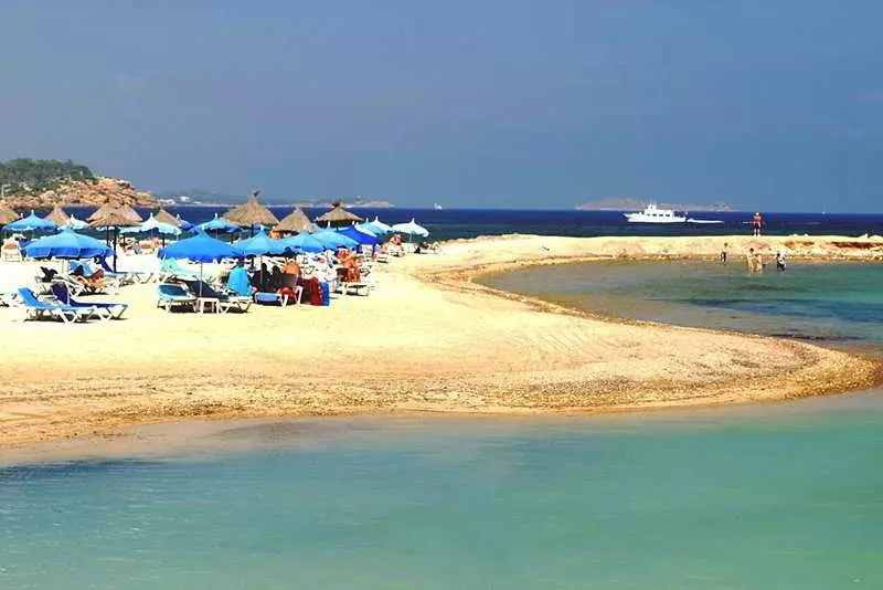 Fotos del hotel Sirenis Club Siesta :  15