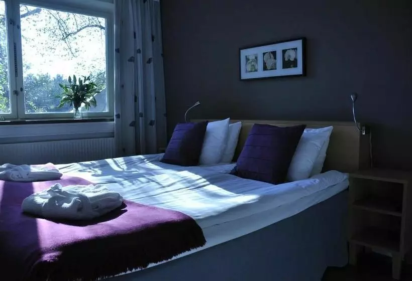 Fotos del hotel First Hotel Linné:  24