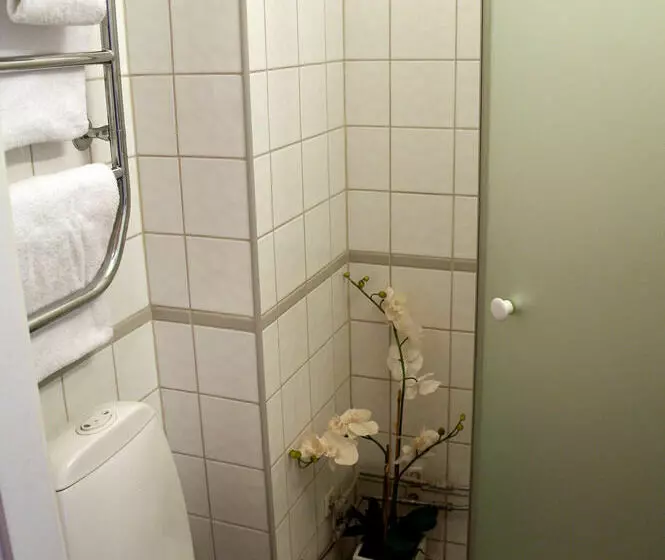 Fotos del hotel First Hotel Linné:  14