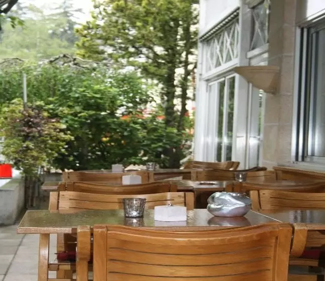 Fotos del hotel Hostellerie De La Vendee:  12