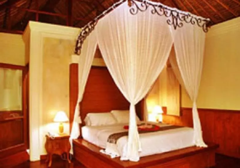 Fotos del hotel Mimosa Resort & Spa:  2