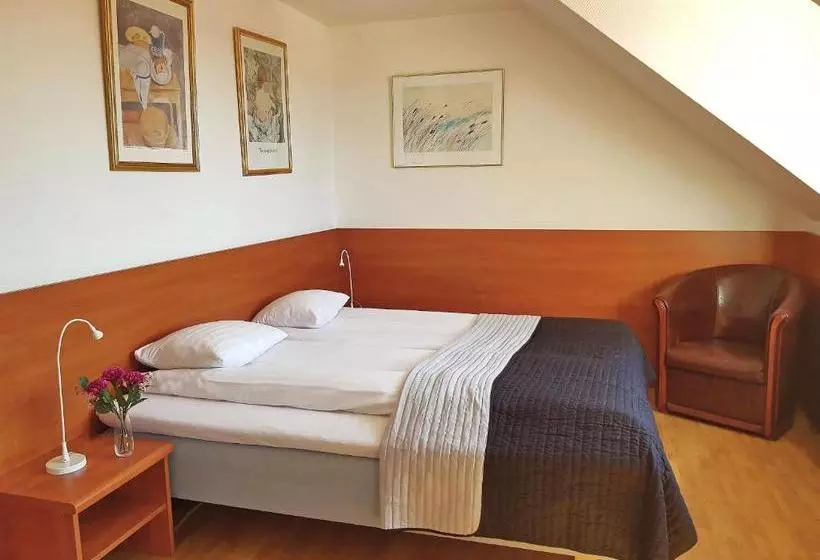 Fotos del hotel L Astoria:  14