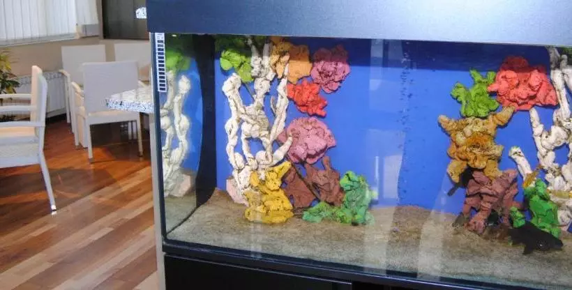 Fotos del hotel Italia:  6