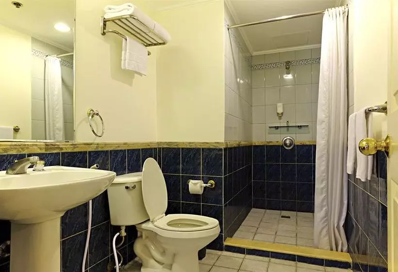 Fotos del hotel Somerset Salcedo Makati:  12