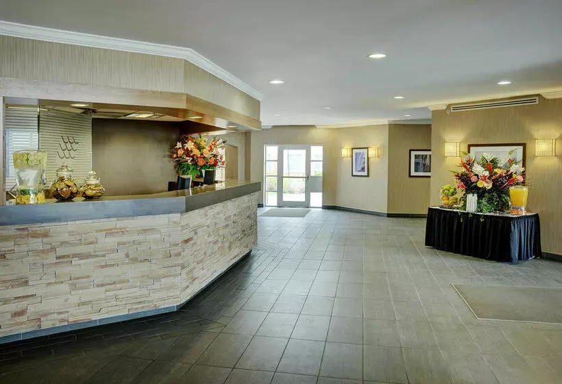 Fotos del hotel Lakeview Signature Inn Calgary Airport:  3