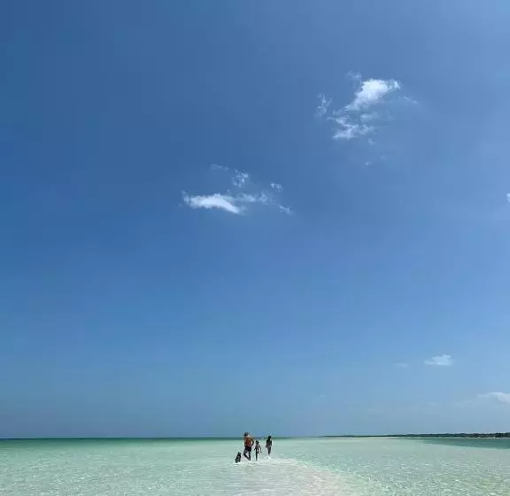 Fotos del hotel Casa Las Tortugas Petit Beach Hotel & Spa:  15