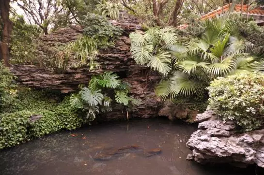 Fotos del hotel Greenery:  5