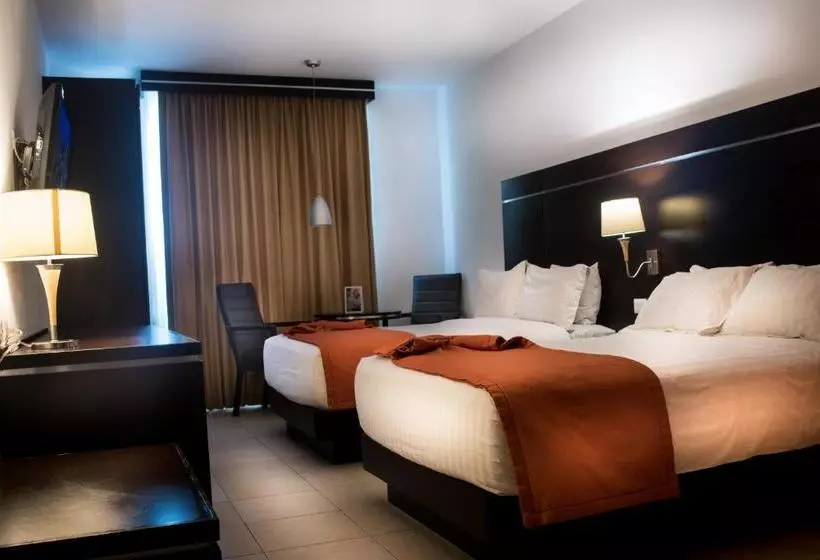 Fotos del hotel Oliba:  19