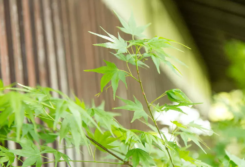 Fotos del hotel Gyozanen:  9