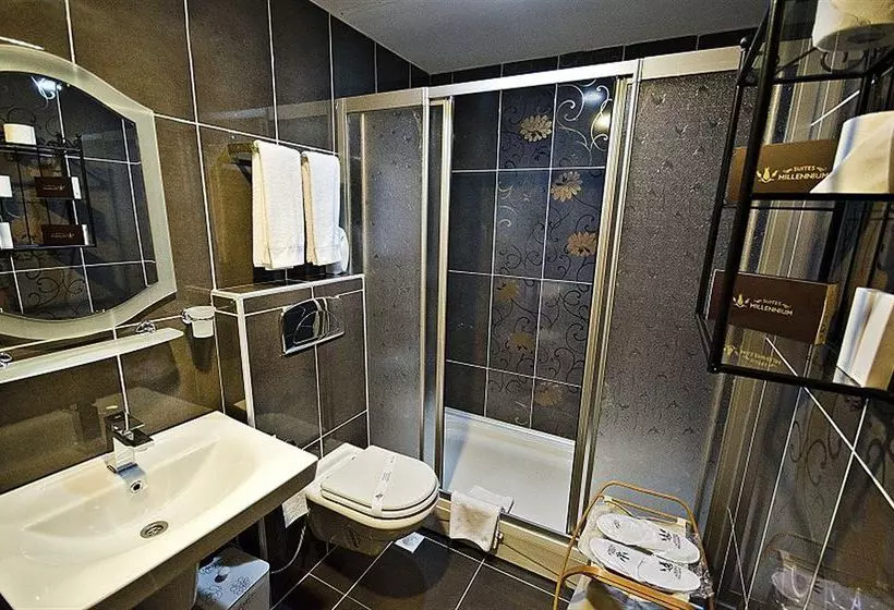 Fotos del hotel Millennium Suites:  9