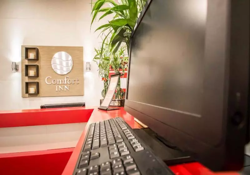 Fotos del hotel Comfort Inn Manhattan Bridge:  2