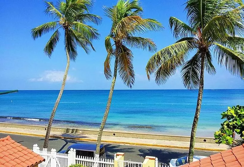 Fotos del hotel Tres Palmas Inn:  6