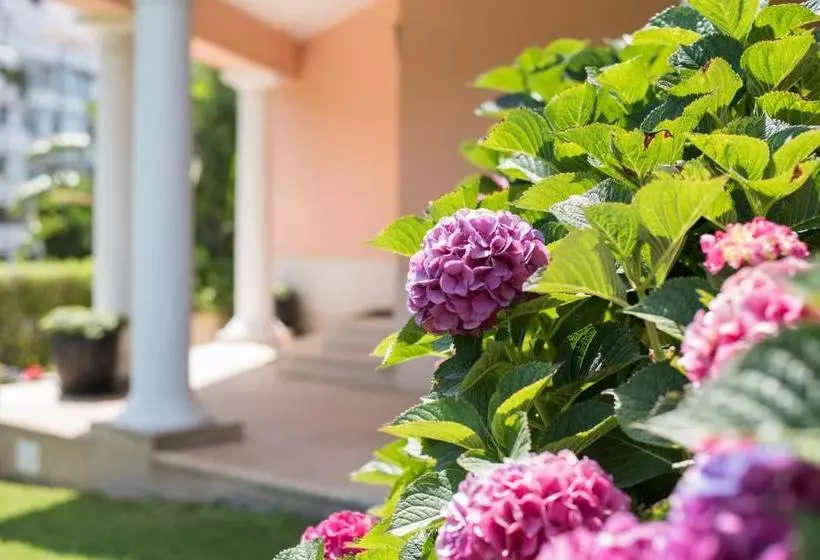 Fotos del hotel The Charm Of Cascais:  10