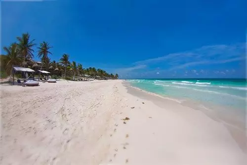 Fotos del hotel Las Ranitas Eco Boutique:  11