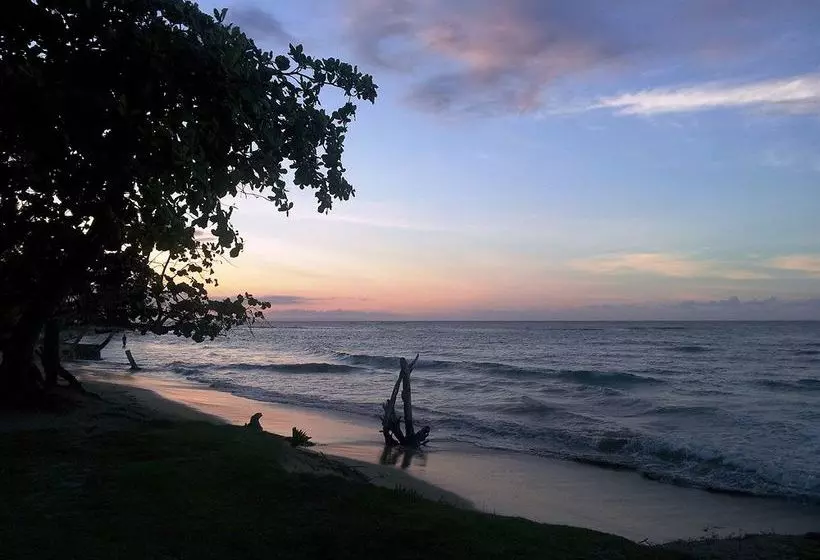 Fotos del hotel Arena Dorada:  21