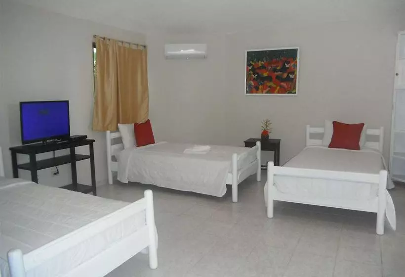 Fotos del hotel Arena Dorada:  2