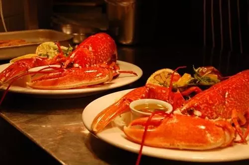 Fotos del hotel Lampeter:  19