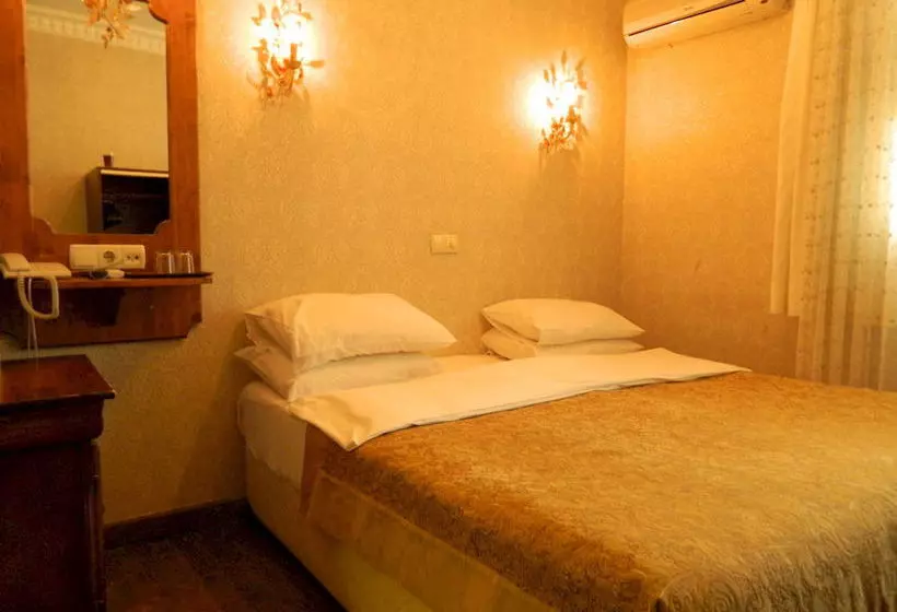 Fotos del hotel Apricot Hotel Istanbul:  19