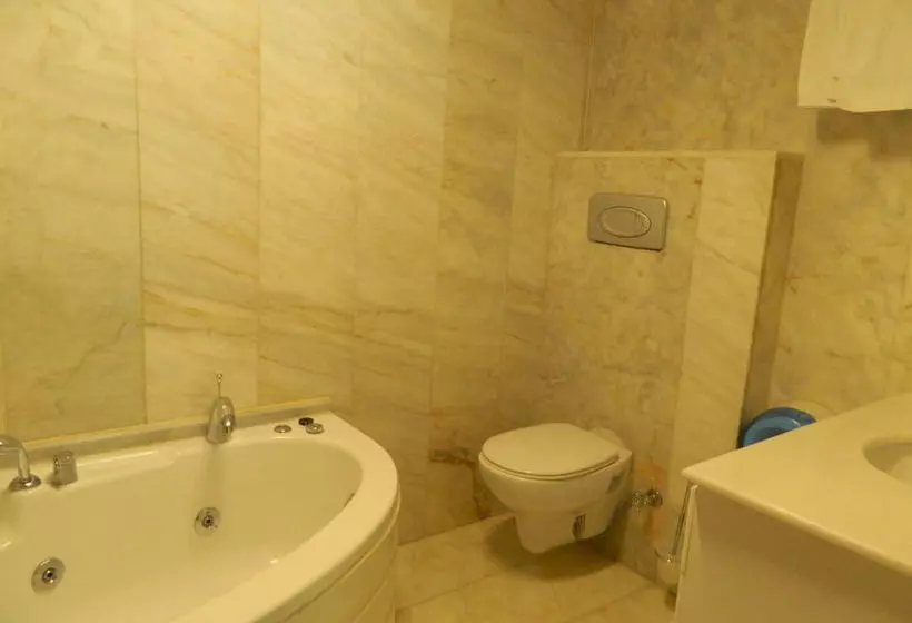 Fotos del hotel Apricot Hotel Istanbul:  10