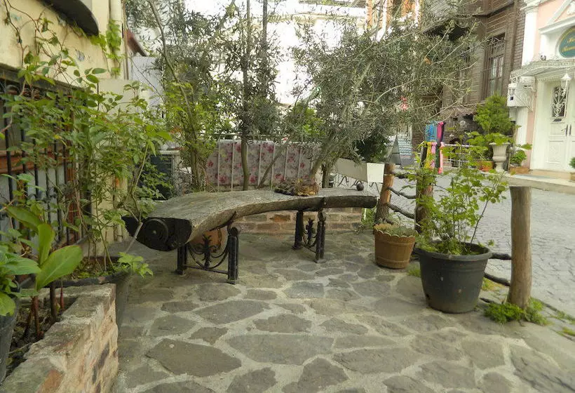 Fotos del hotel Apricot Hotel Istanbul:  4