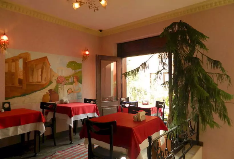 Fotos del hotel Apricot Hotel Istanbul:  3