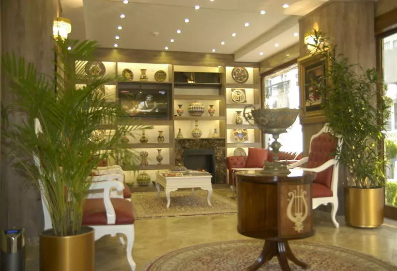 Fotos del hotel Comfort Elite Hotel Sultanahmet:  13