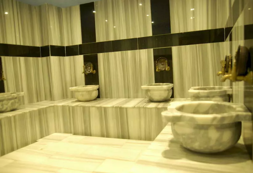 Fotos del hotel Comfort Elite Hotel Sultanahmet:  5