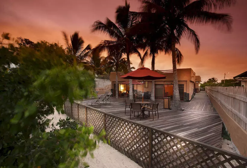 Fotos del hotel Red Mangrove Lodge Isabela:  25