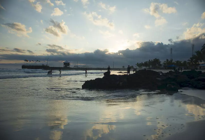 Fotos del hotel Red Mangrove Lodge Isabela:  22