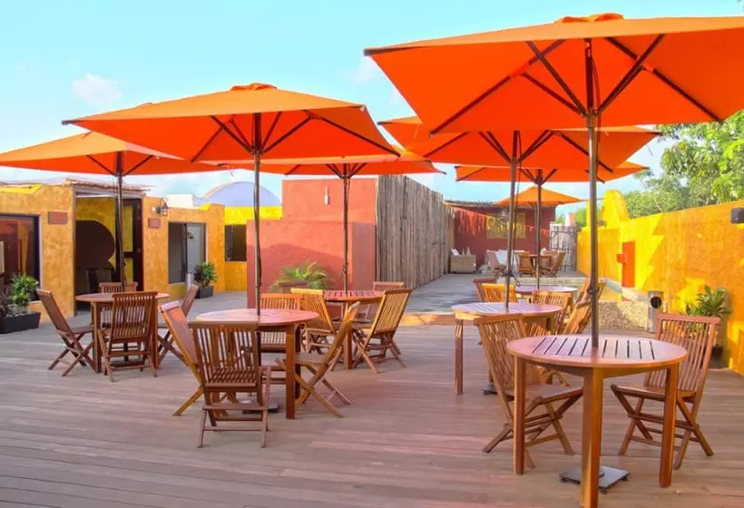 Fotos del hotel Excel Sense Hb:  6