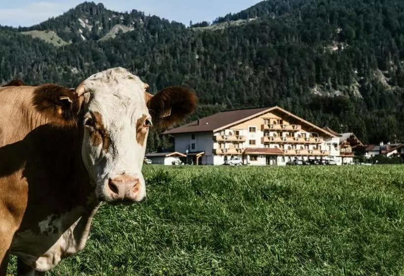 Fotos del hotel Riedl:  10